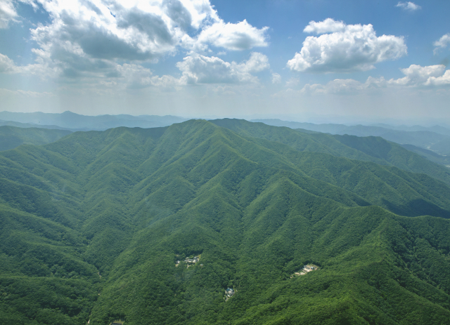 김천의 100산(山) 100설(說) <6>백두대간2(白頭大幹·우두령~황악산~용문산)