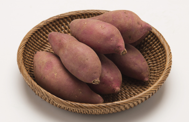 [신팔도명물] 제철 맞은 여주고구마