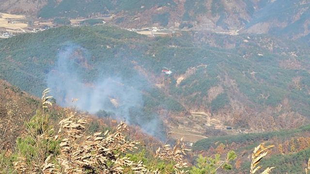 안동 길안서 산불…1시간 50분 만에 진화