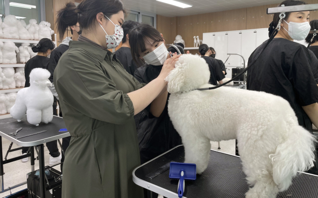 한국펫고등학교 방문해보니…강아지와 같이 공부하는 학교, 저도 입학되나요?