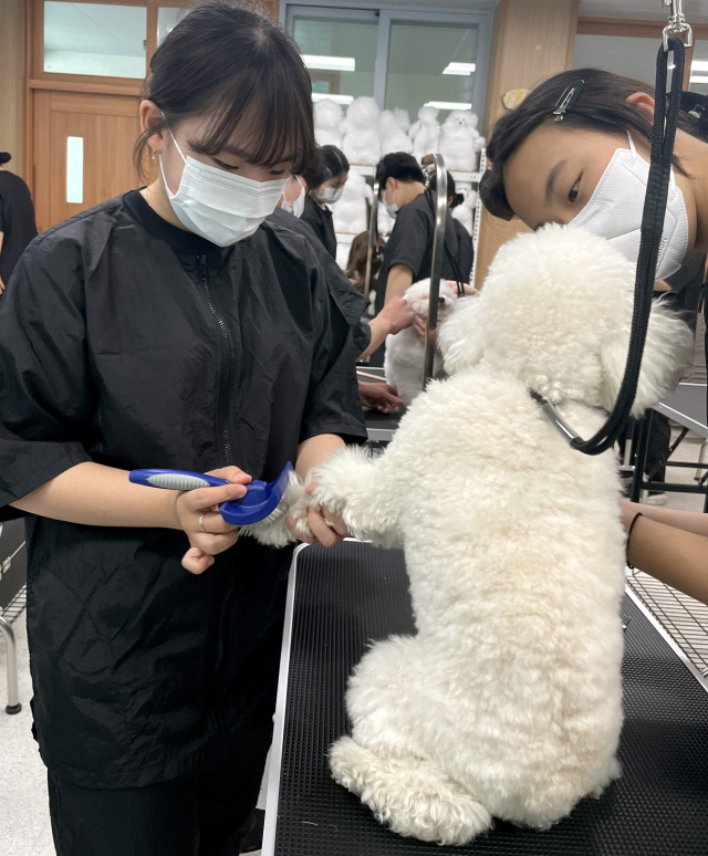 한국펫고등학교 방문해보니…강아지와 같이 공부하는 학교, 저도 입학되나요?