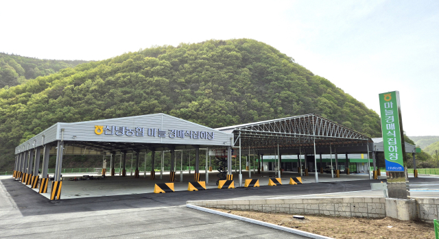 마늘산업특구 영천시, 경북 최초 마늘 경매장 완공…신녕농협 21일 준공식