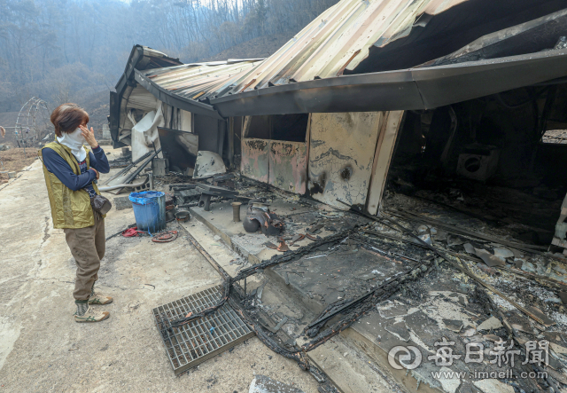 경북 북동부 5개 시·군 2572채 잿더미…이곳이 바로 전쟁터