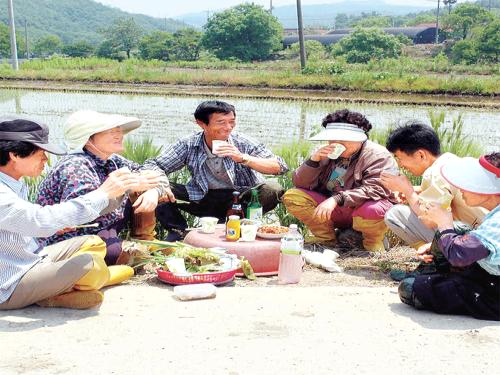 여름들녘 새참풍경