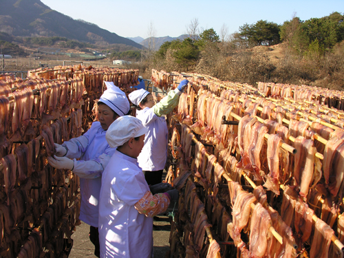 “산골바람 맞아 쫄깃한 맛 더하죠”