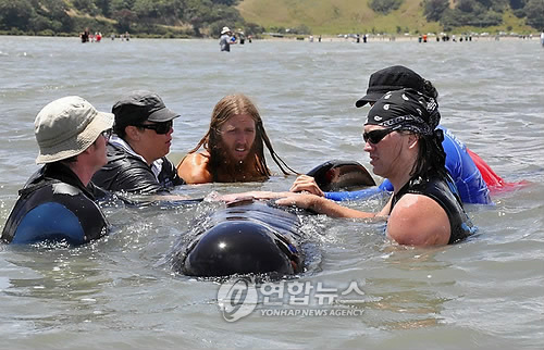 NEW ZEALAND WHALE RESCUE