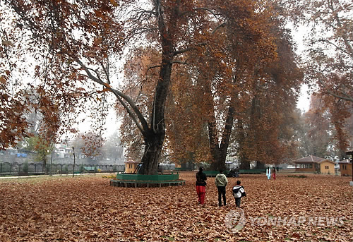 INDIA KASHMIR AUTUMN FEATURE