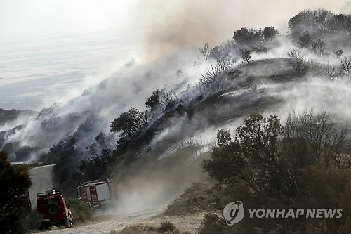 만든곳: 한국 네티즌본부 카페