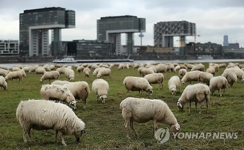 작성: 한국 네티즌본부