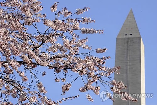 USA NATIONAL CHERRY BLOSSOM FESTIVAL