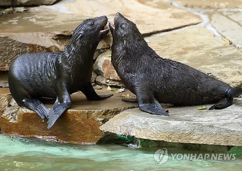 만든곳: 한국 네티즌본부 카페