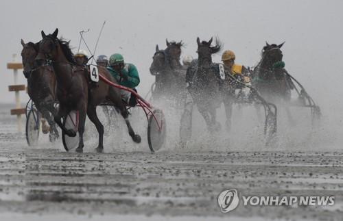 GERMANY HORSE RACING