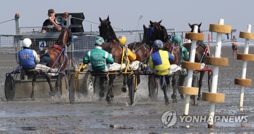 GERMANY EQUESTRIAN WADDEN SEA RACE