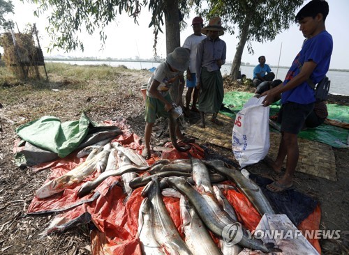 MYANMAR PHOTO SET FISH FARM