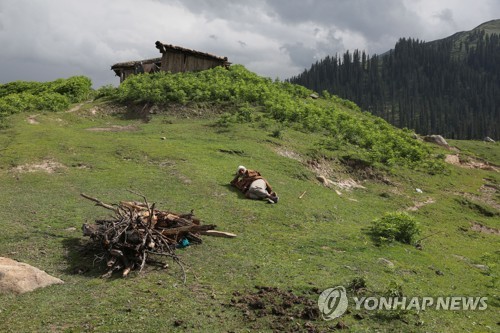 INDIA KASHMIR NOMADS