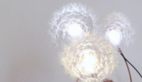 민들레 꽃을 닮은 LED 램프