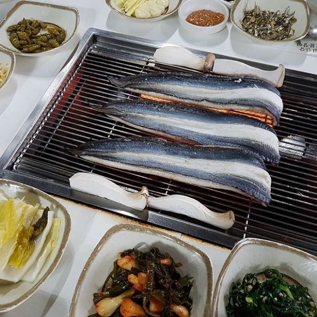 힘이 불끈 솟는 ‘민물장어’ 맛집 5곳