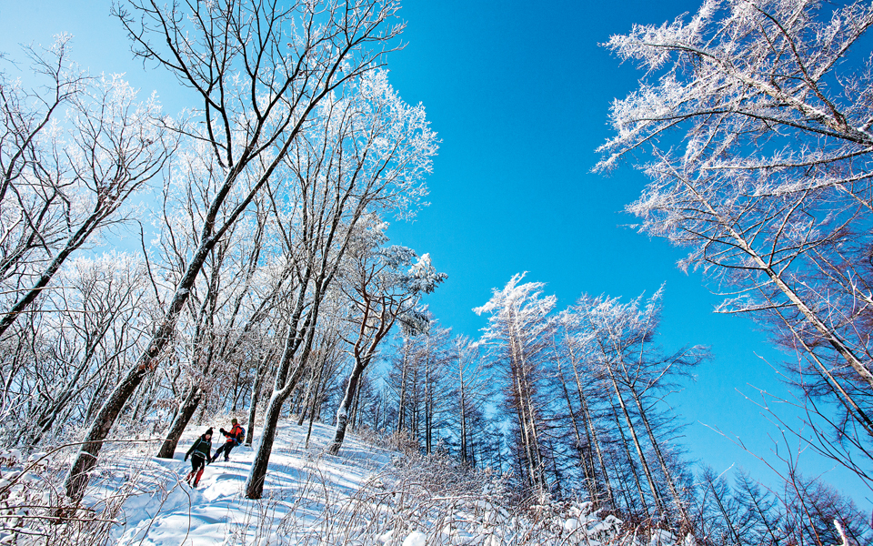 [2월의 명산ㅣ백덕산] 부드러운 능선에 대표적인 설경 명산