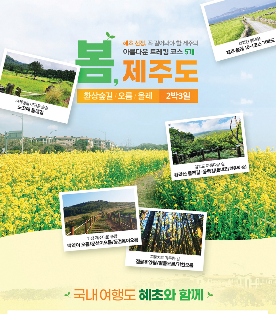 혜초여행, 봄 제주 트레킹 상품 출시