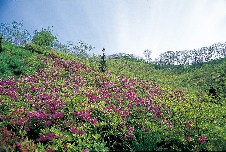[산장 특집 연인산장] 이 산장에 가면 연인을 볼 수 있을까