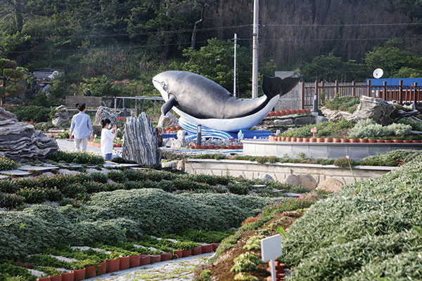 흑산도 여행 천지개벽 1시간이면 간다