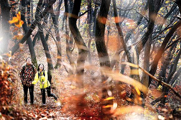 안성에 명품 산길 66km 열렸다 [안성 금북정맥 국가생태문화탐방로 특집]