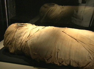 200억짜리 미라 서울에 왔다