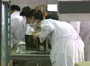 치의학전문대학원, 원대대로 유턴…예산만 낭비