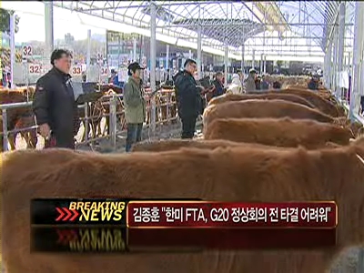 농가 한우 사육수치 사상 최고, 소비는 제자리…가격 급락 우려