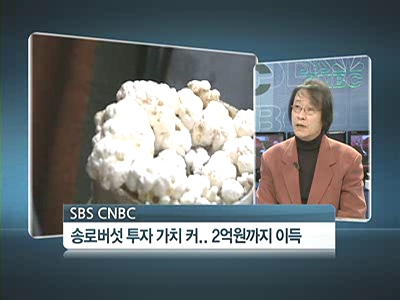 억소리나는 매출 명품버섯··농업의블루오션 고소득 키운다