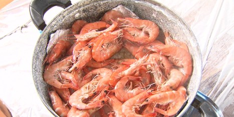 통통하게 살 오른 양식 왕새우 본격적 출하