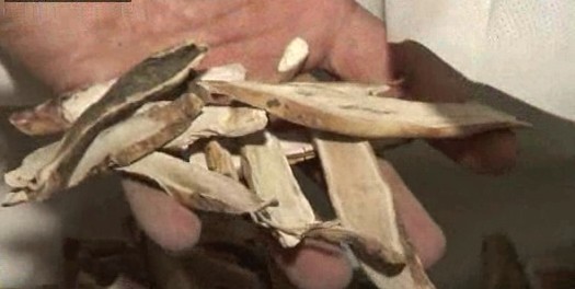 중국산 막으려다…국산 한약재 창고 신세