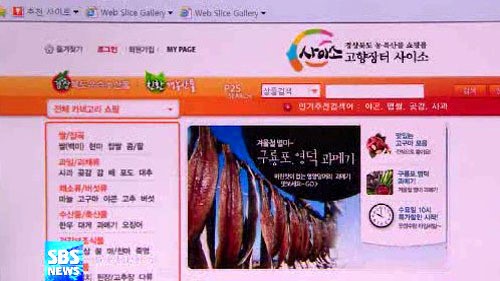 [대구] 농산물 인터넷 쇼핑몰 사이소 급성장