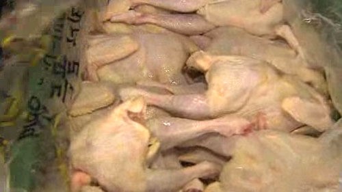 유통기한 지난 냉장닭 냉동 후 15톤 시중 유통