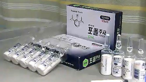 처방전 없이 프로포폴 투여한 병·의원 19곳 적발