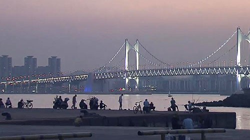 [부산] 환상적인 야경에 탄성…시티 투어 인기