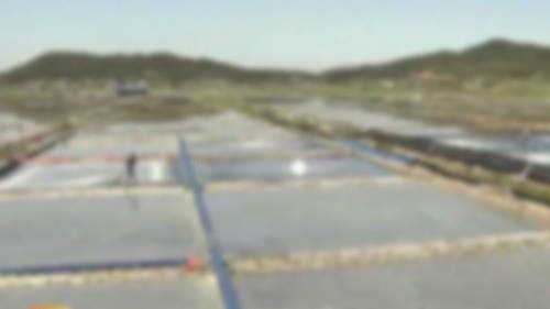 여교사 성폭행 발생한 신안군 클라스 | 인스티즈