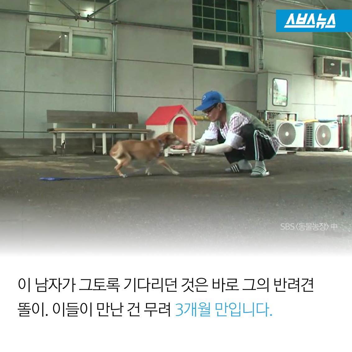 [스브스뉴스]다시 만난 날…생사를 넘나든 사랑