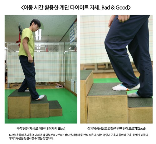 [건강] 짐볼ㆍ계단ㆍ줄넘기 다이어트족을 위한 조언