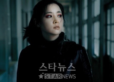 친절한 금자씨, 불법 스틸 나돌아
