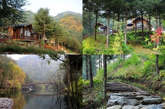 고산자연휴양림·칼봉산자연휴양림, 1일 예약 시작..접속 폭주