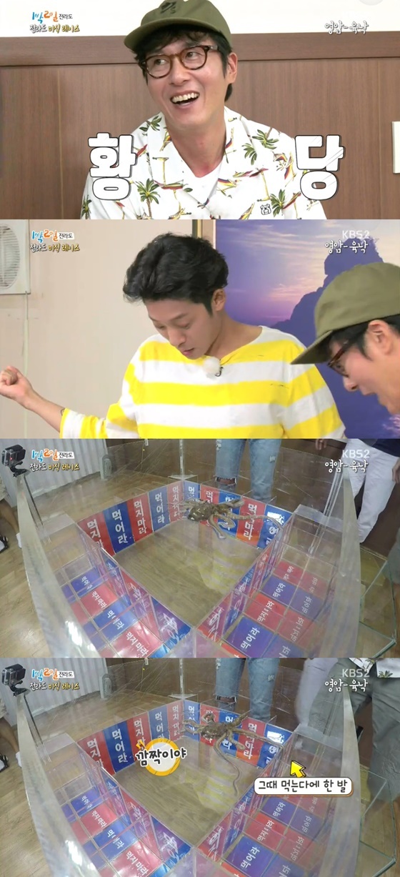 1박2일, 월드컵 문어도사 패러디 낙지도사 등장