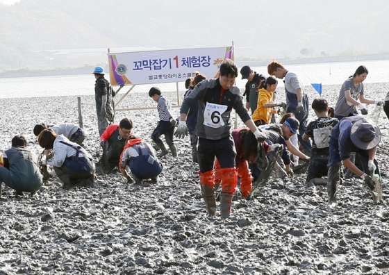 태백산맥의 고향 벌교에서 즐기는 꼬막축제..포만감 그득