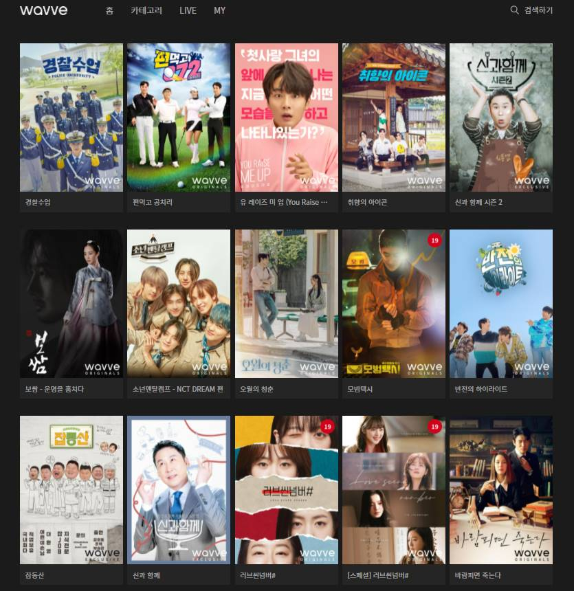 웨이브·티빙·카카오TV OTT와 방송사, CP 성장으로 상생(인터뷰②)[★창간17]