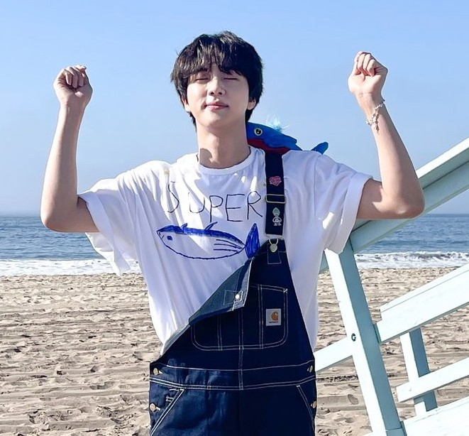 방탄소년단 진, 싸이 넘었다..슈퍼참치 16일간 전세계 유튜브 음악 인기동영상 1위