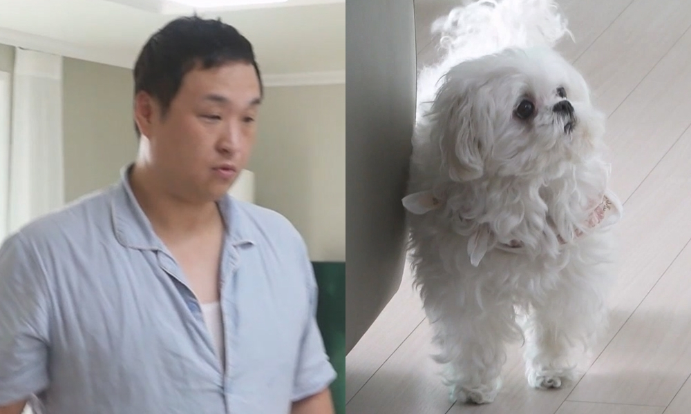 구성환네 犬 꽃분이, 깜짝 놀라 '식겁'..