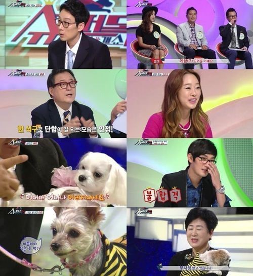 [어저께TV] 슈퍼독, KBS부사장도 탈락한다 진짜 개 서바이벌