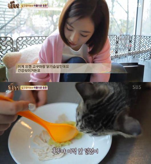 동물농장 써니, 길고양이에 소녀시대 식단 보살폈다