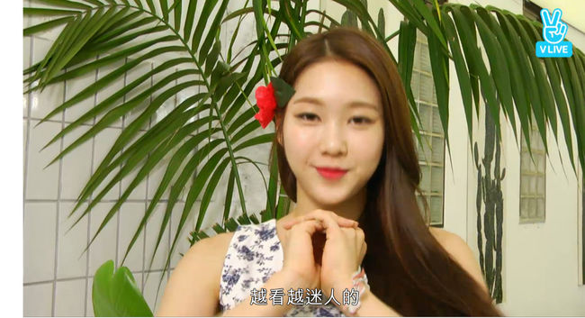 오마이걸 지호 생방송 패션 콘셉트는 칵테일[V라이브]