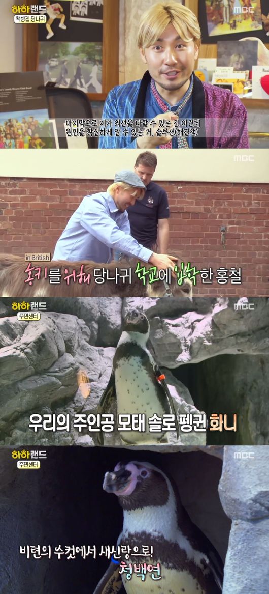 하하랜드 동물들에게도 솔루션은 필요합니다 [종합]